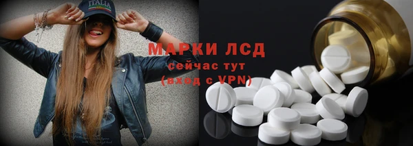 индика Осинники
