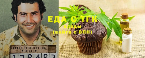 индика Осинники