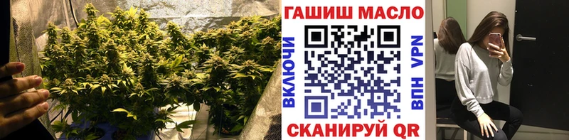 omg маркетплейс  Снежногорск  ТГК концентрат 